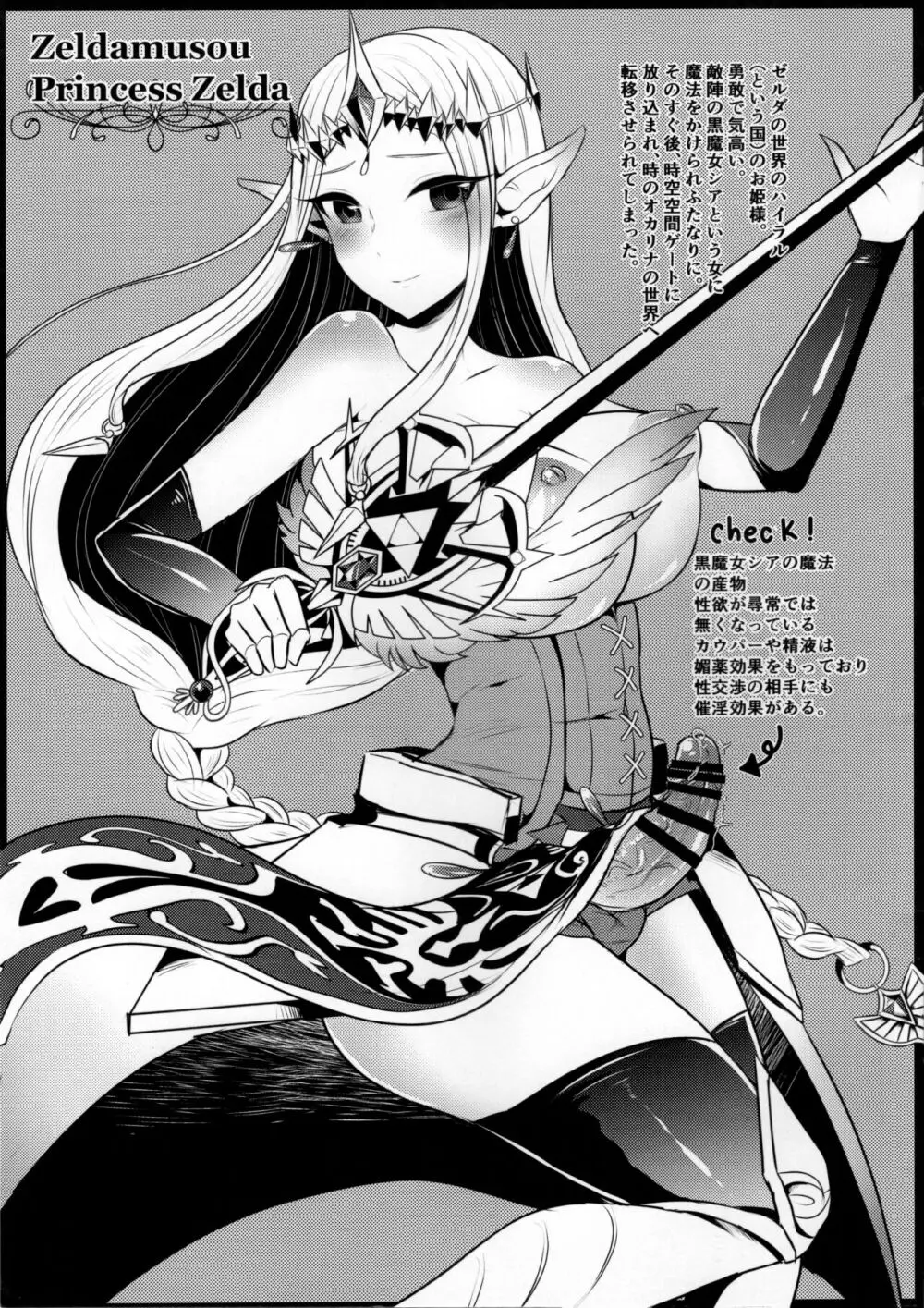 会場限定本 ふたゼルキャラ詰め+α Page.2