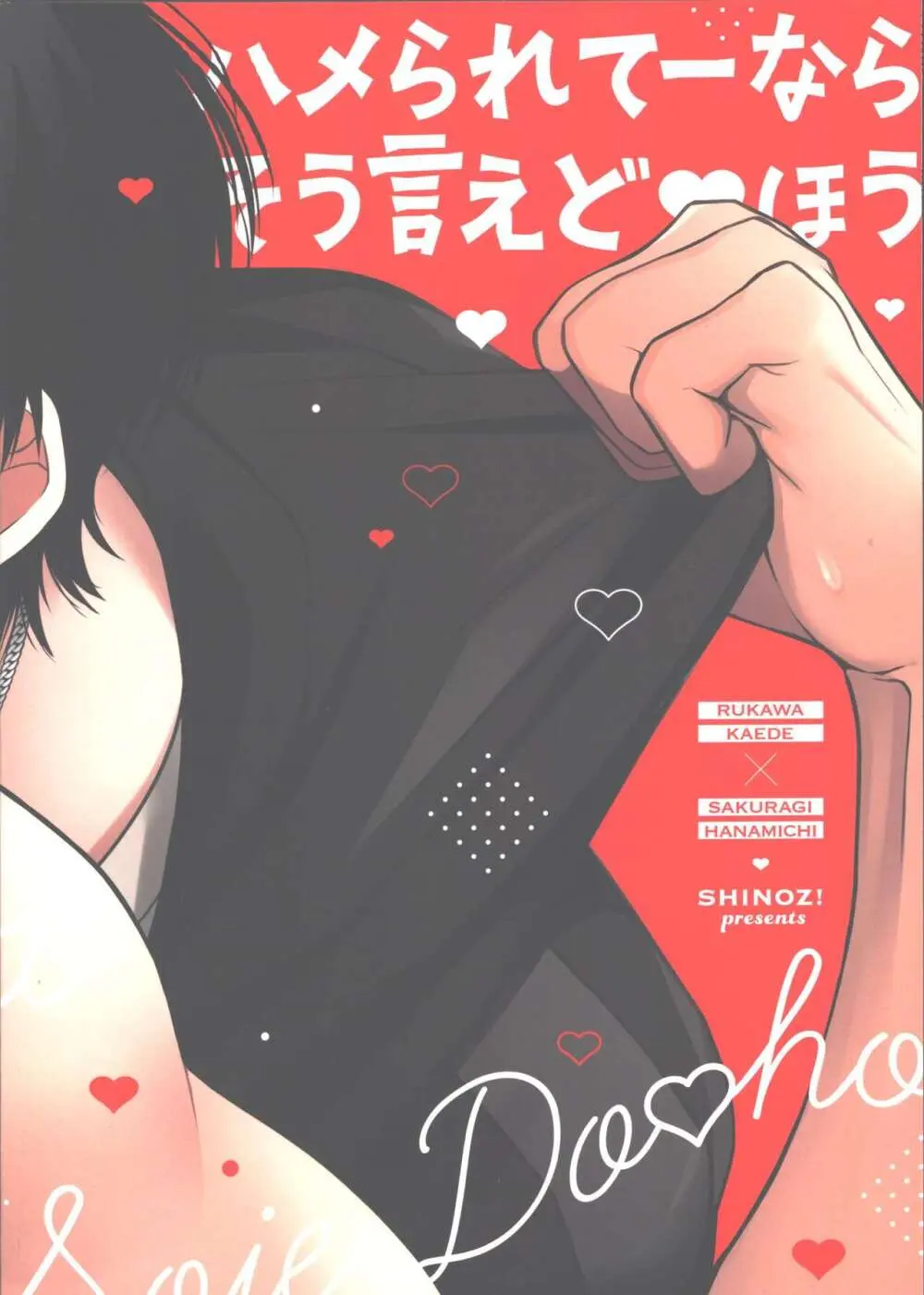 ハメられてーならそう言えどあほう Page.14