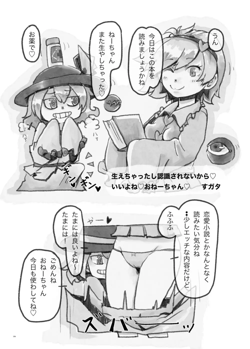 東方ふたなり受け合同誌 Page.256