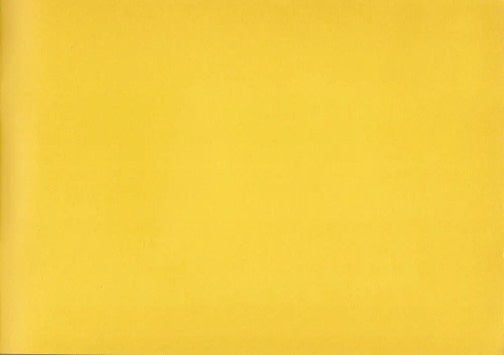 Shigeto Koyama - Yellow Page.2
