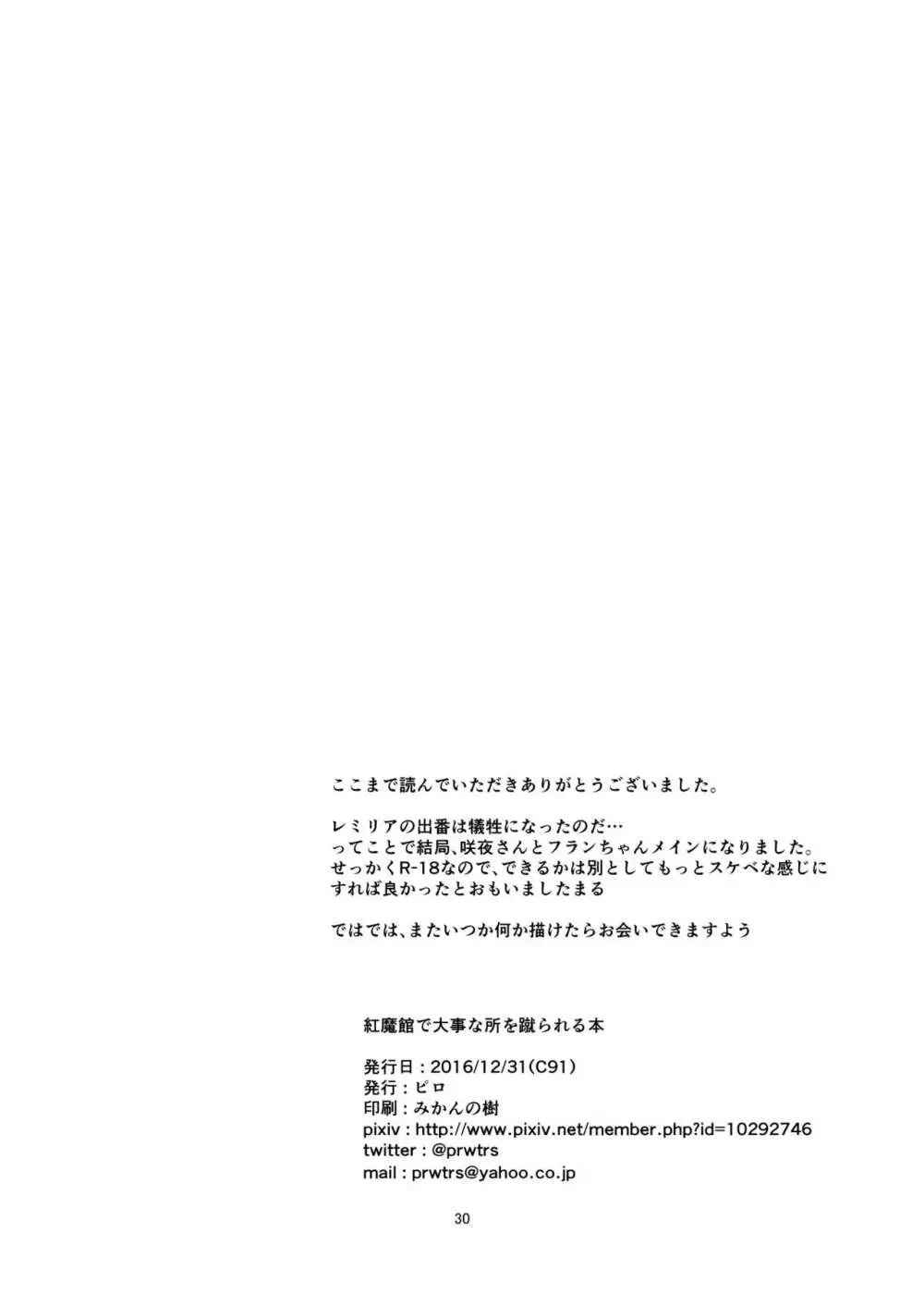 紅魔館で大事な所を蹴られる本 Page.30