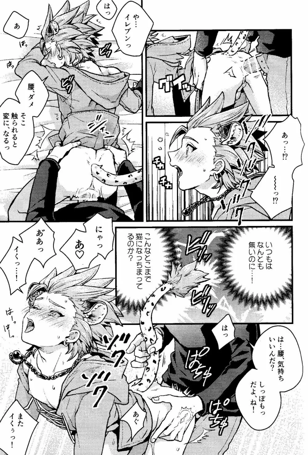 ANIMAL NIGHT Page.22