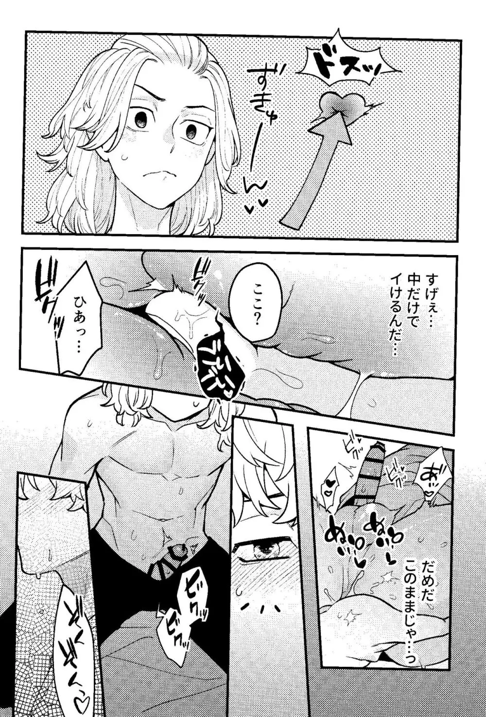 実は開発済です Page.15