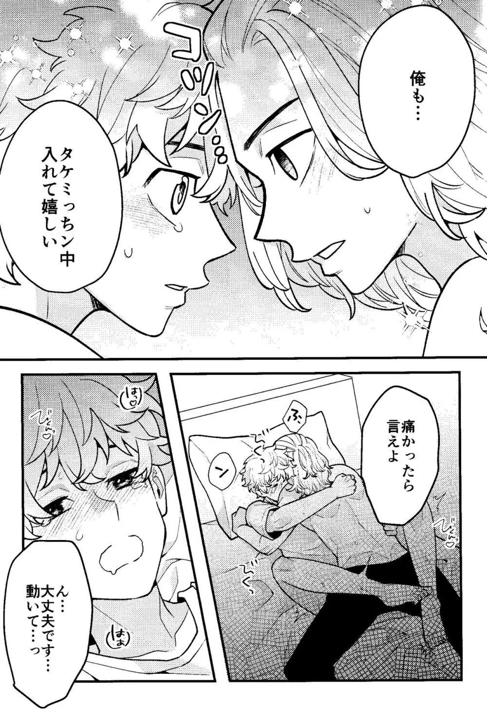 実は開発済です Page.20