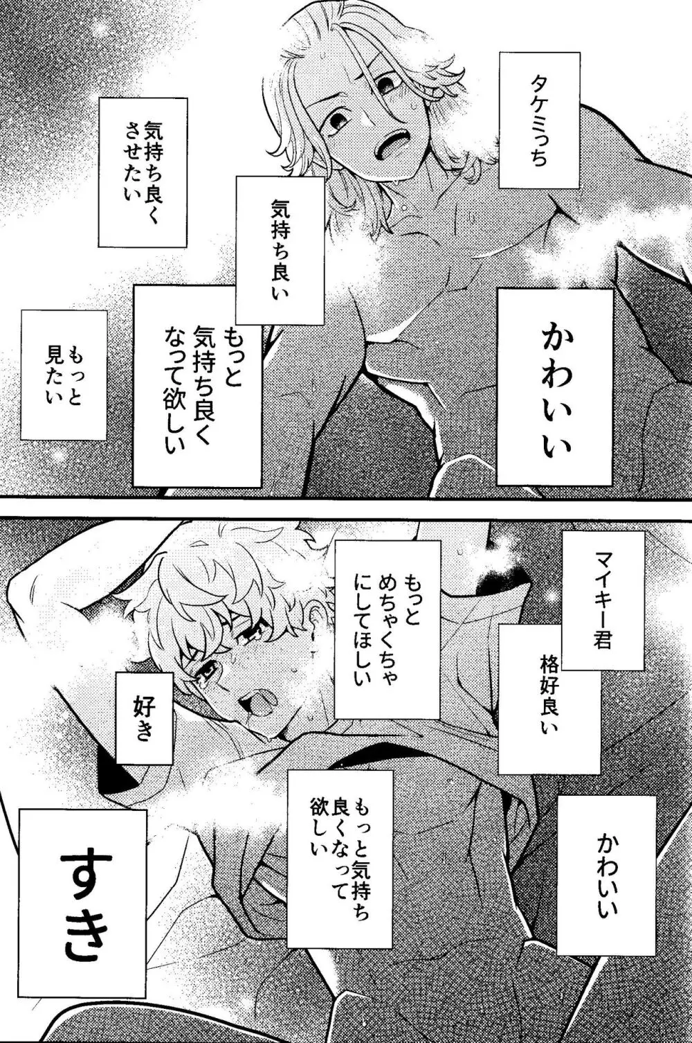 実は開発済です Page.24