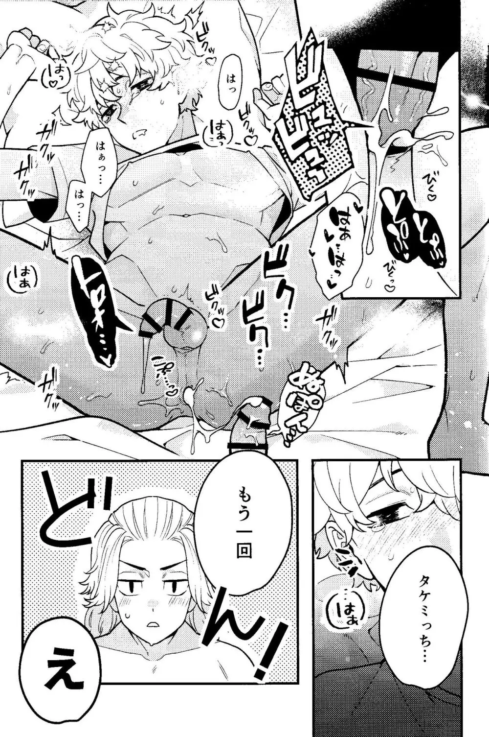 実は開発済です Page.26
