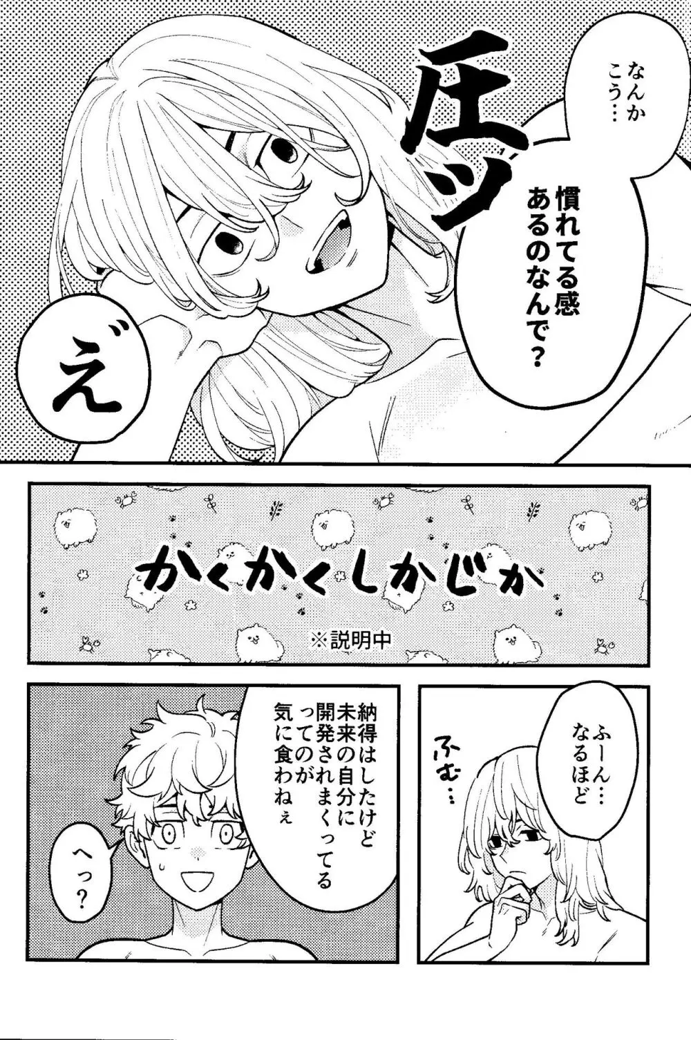 実は開発済です Page.28