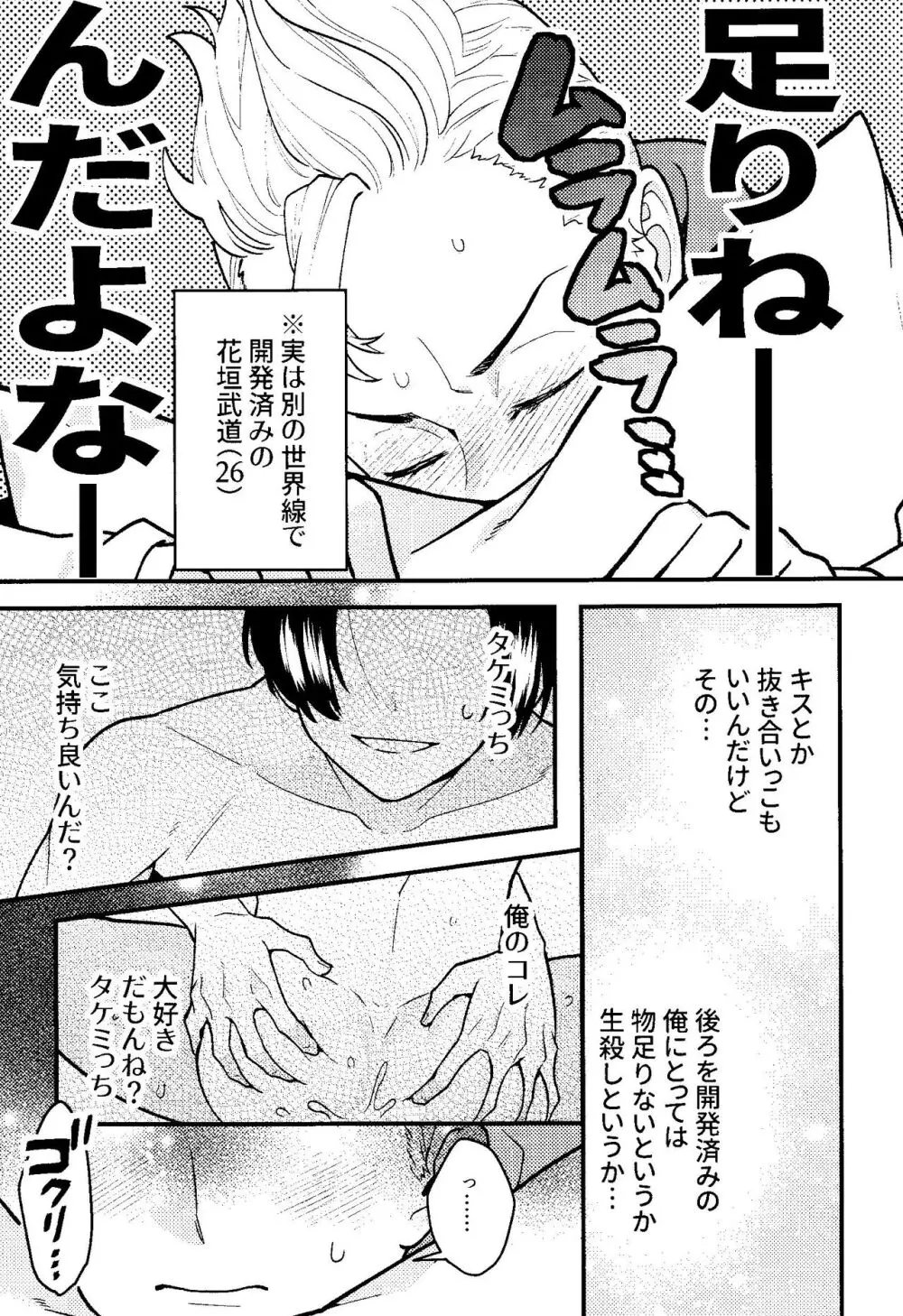 実は開発済です Page.6
