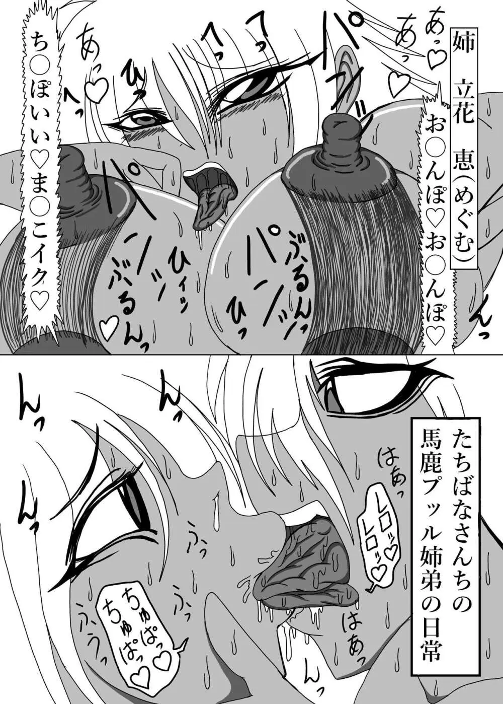 立花さんちのばかっぷる Page.34