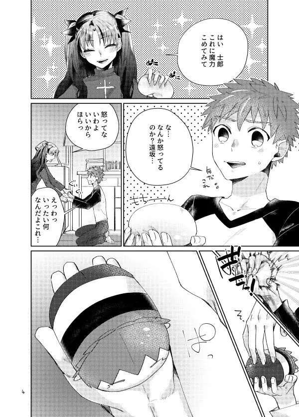 もちしろは衛宮士郎の使い魔である Page.2