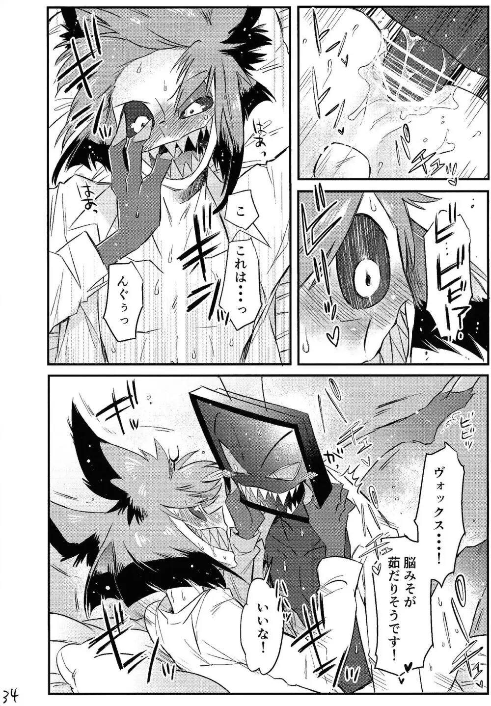 OL‘PAL Page.35