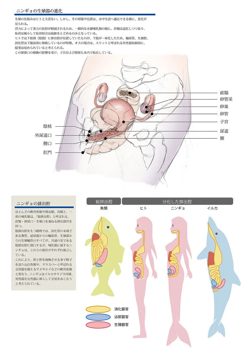 ビッチマーメイド 01-27 Page.30