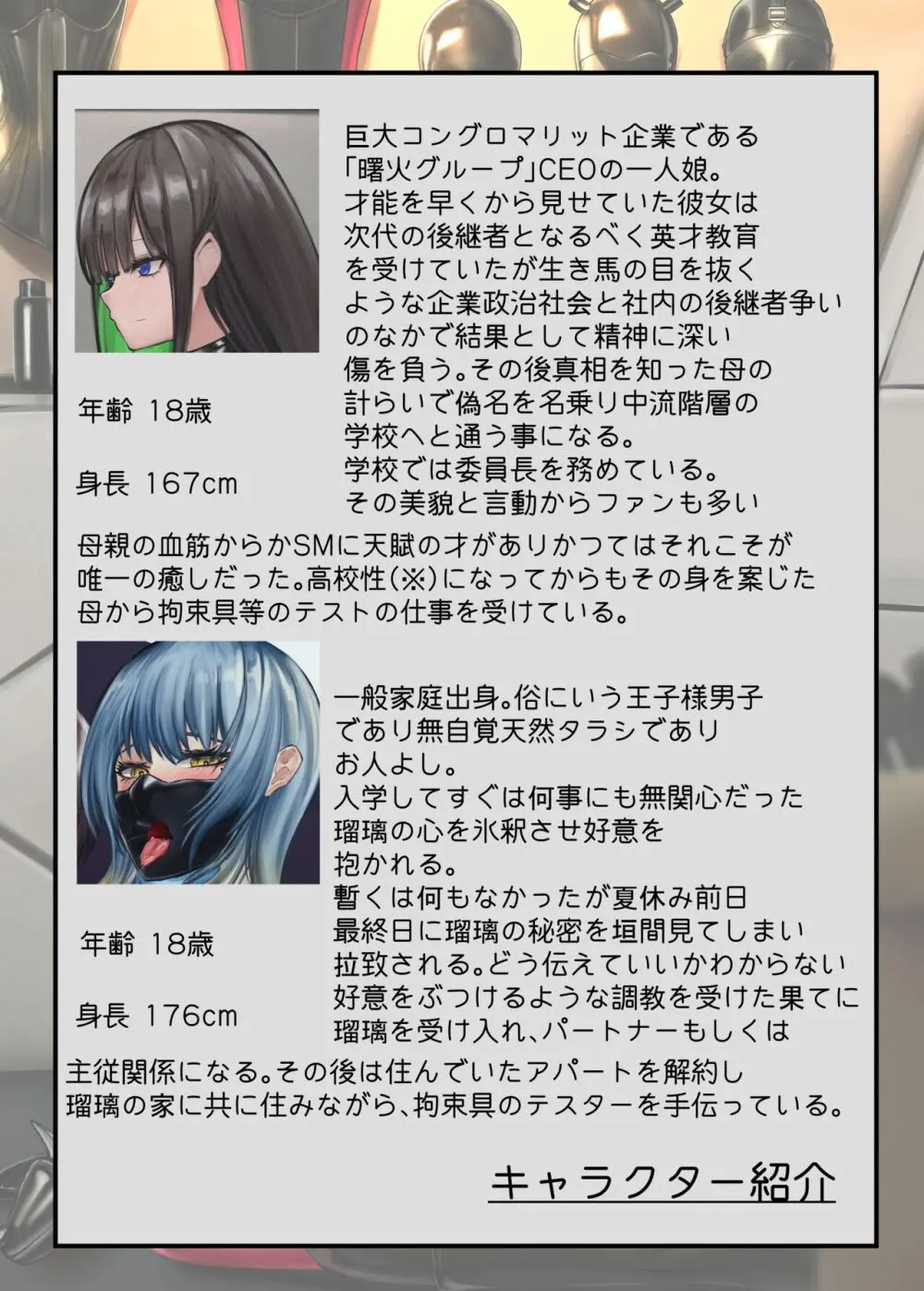 瑠璃と月葉のテスター日誌 Page.20