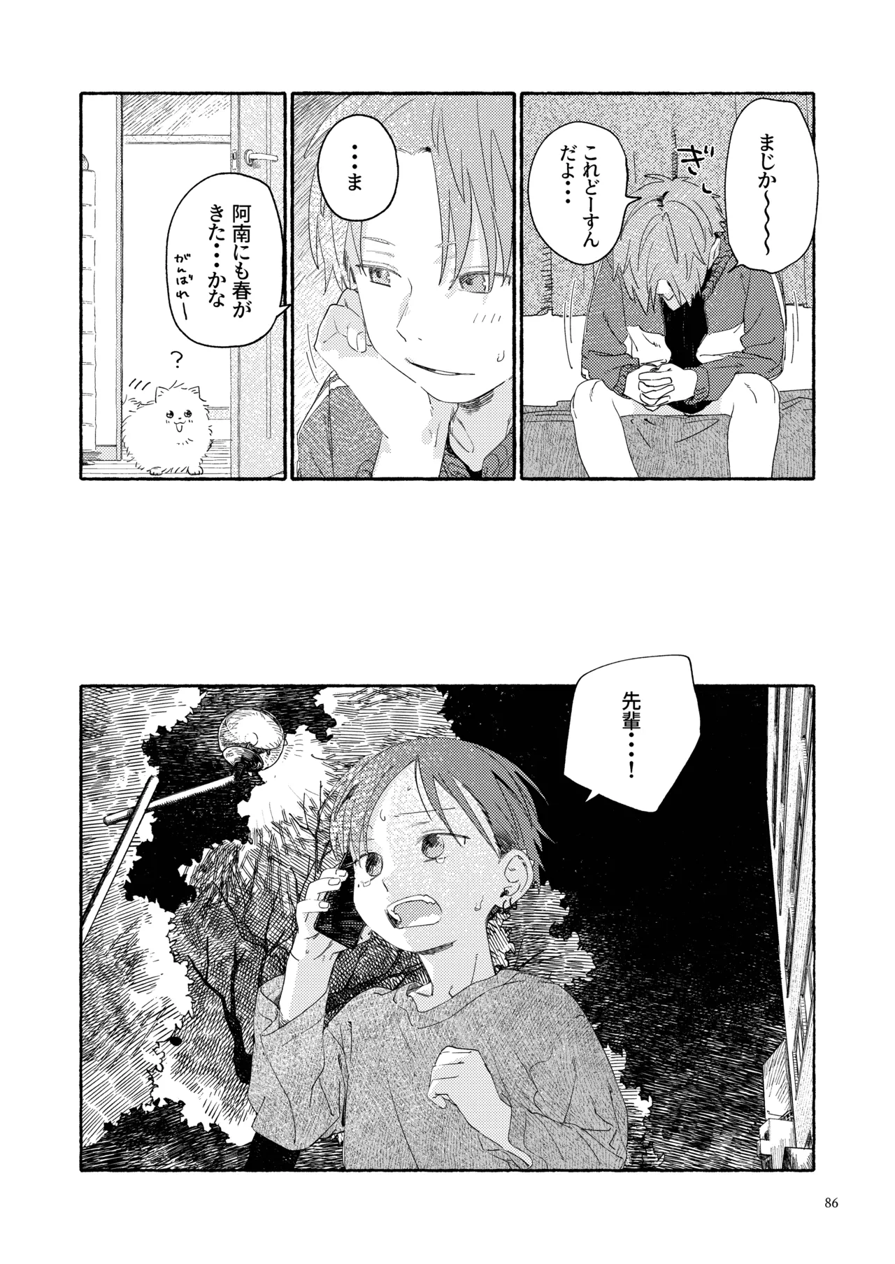 南東バックヤード Page.88