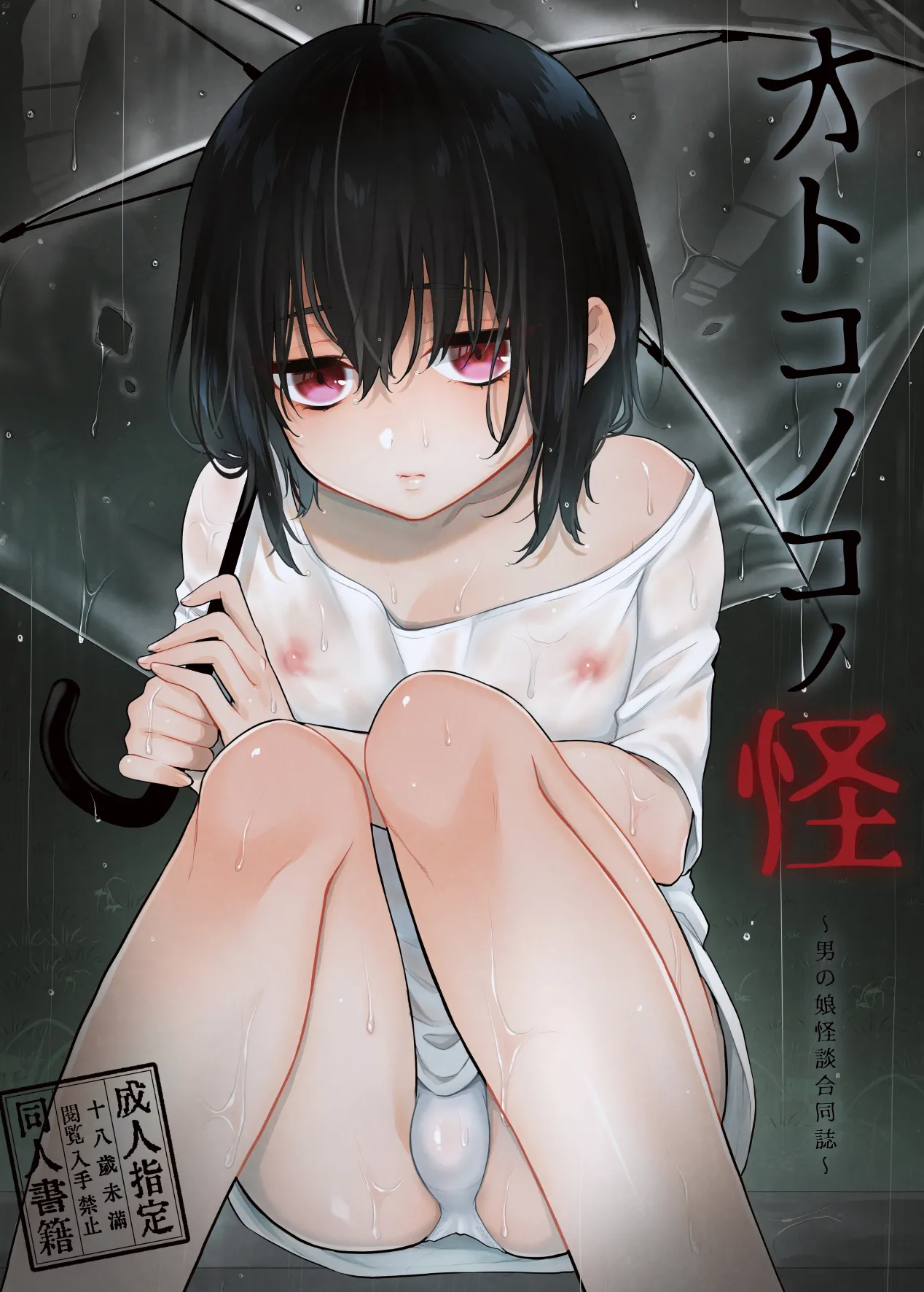 オトコノコノ怪 ～男の娘怪談合同誌～
