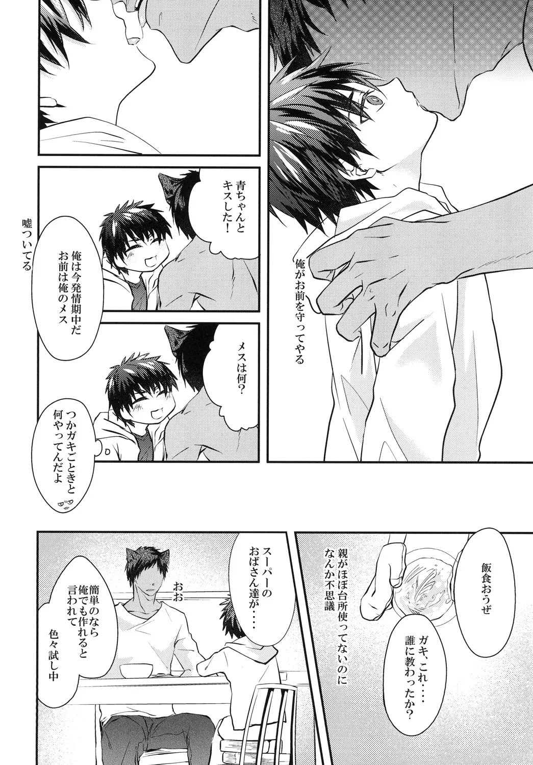 猫にニャンニャン泣かされて Page.13