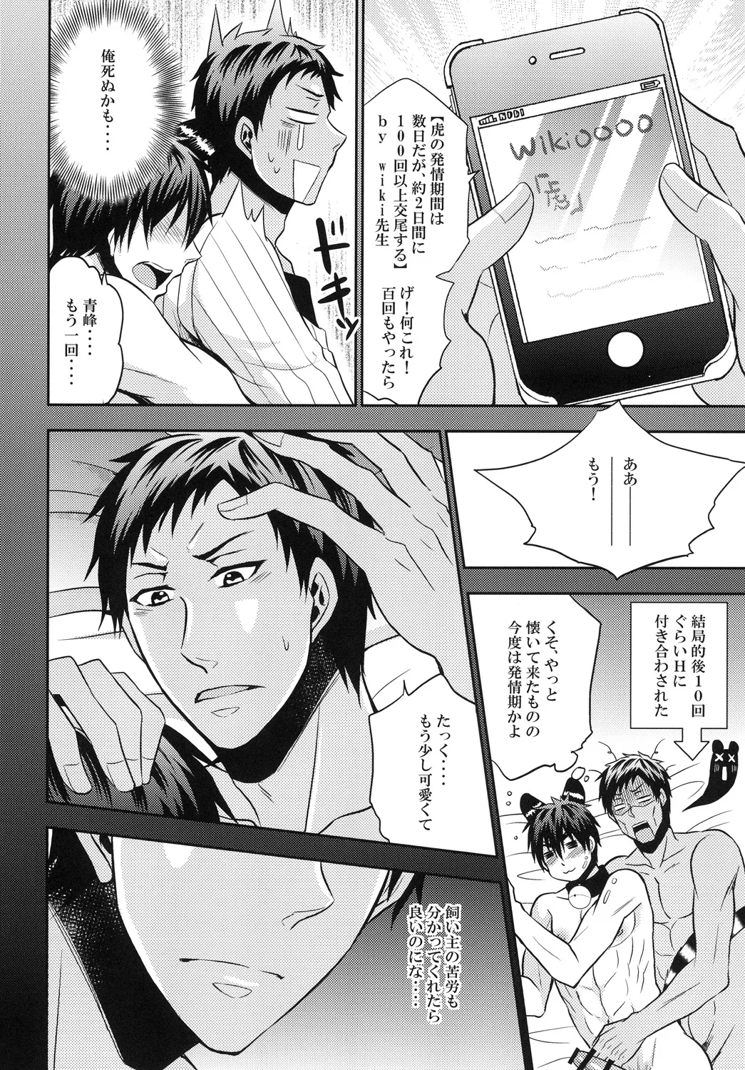 猫にニャンニャン泣かされて Page.27