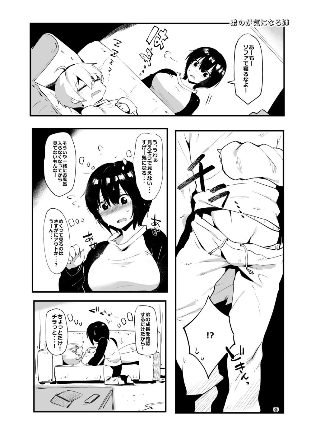 姉弟まとめ：姉 Page.84