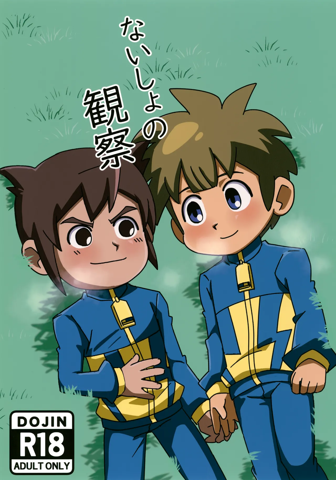 ないしょの観察
