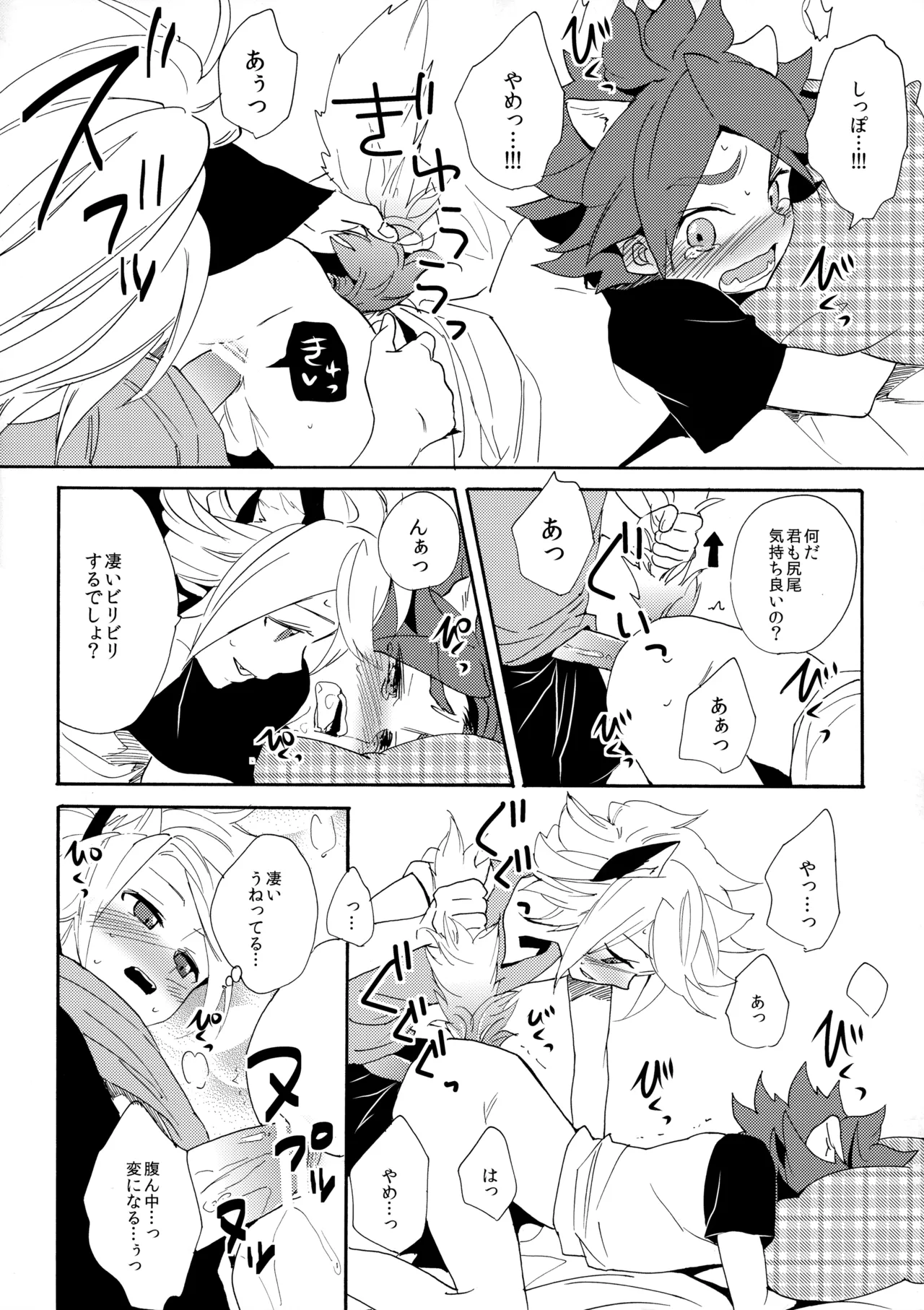 ワンにゃんカオス Page.21