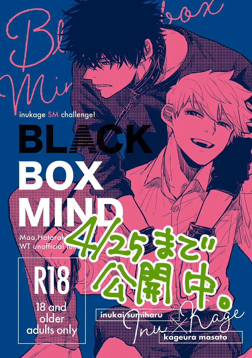 BLACK BOX MIND