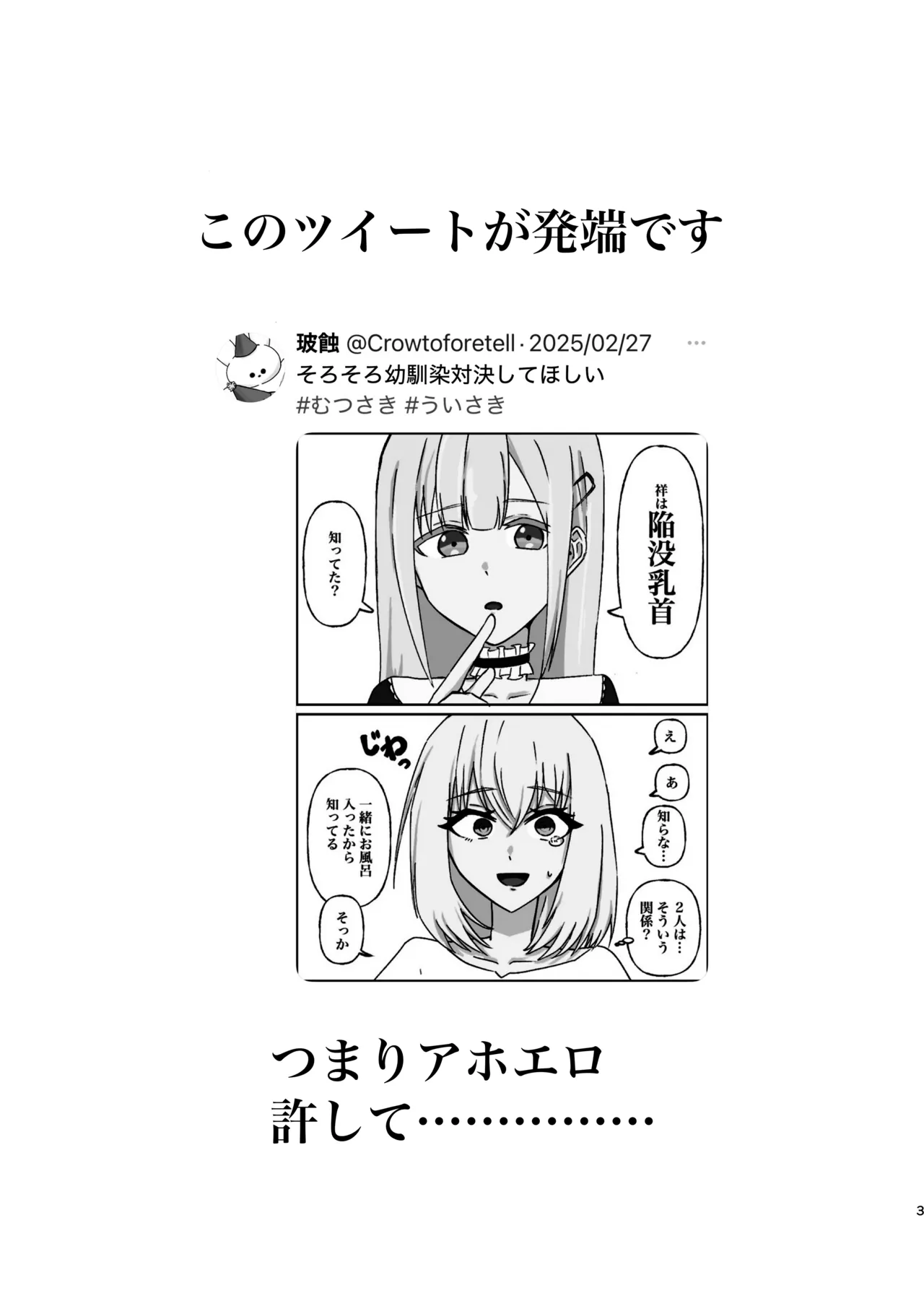 豊川祥子陥没乳首本 Page.3