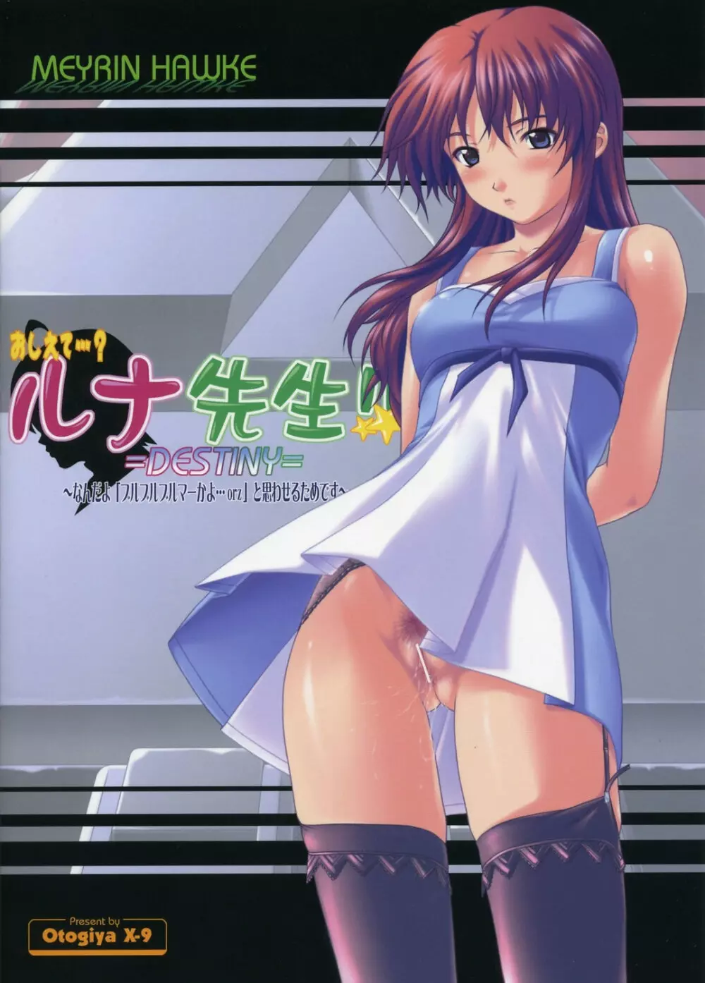 おしえて…？ルナ先生！！ =DESTINY= Page.42