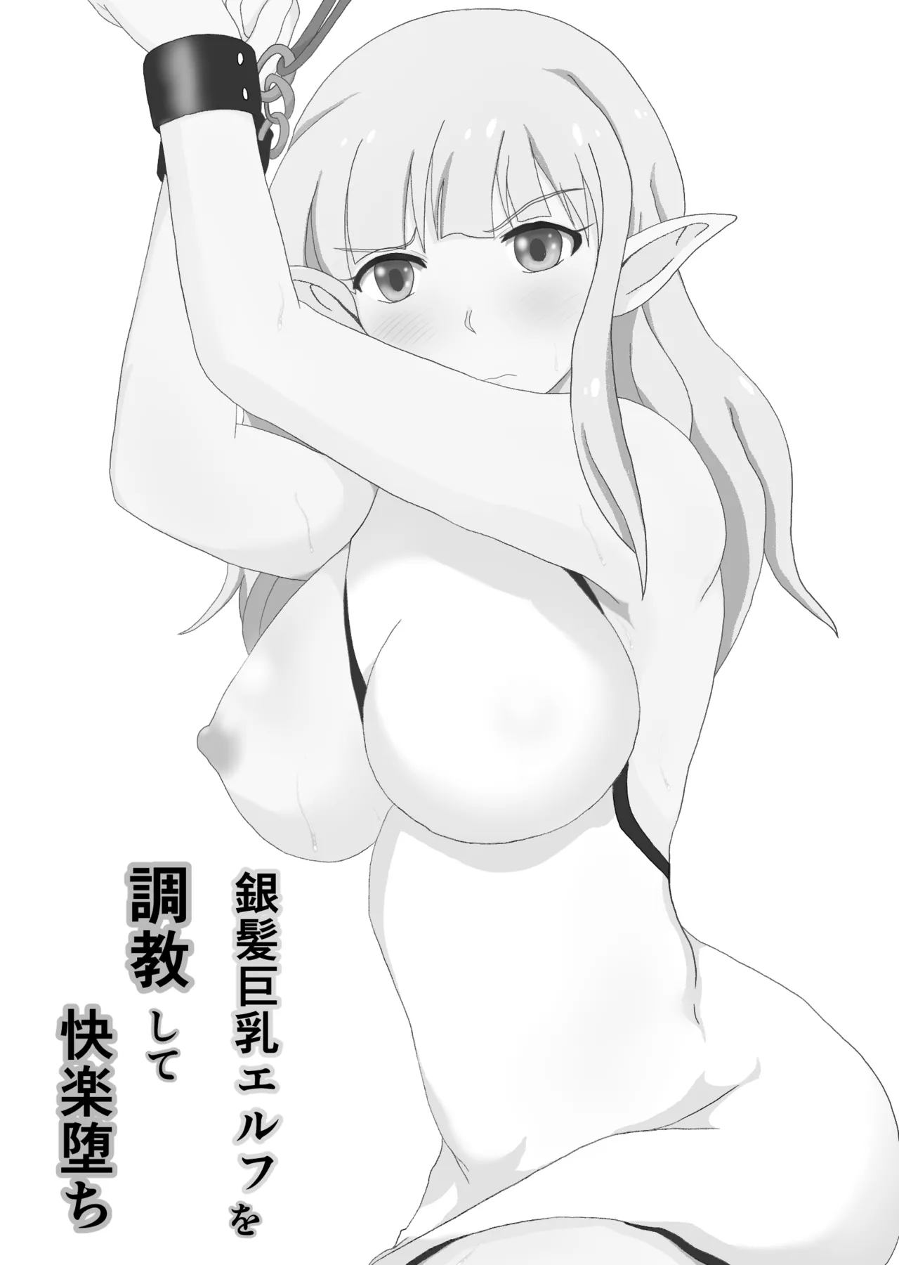 銀髪巨乳エルフを調教して快楽堕ち Page.2