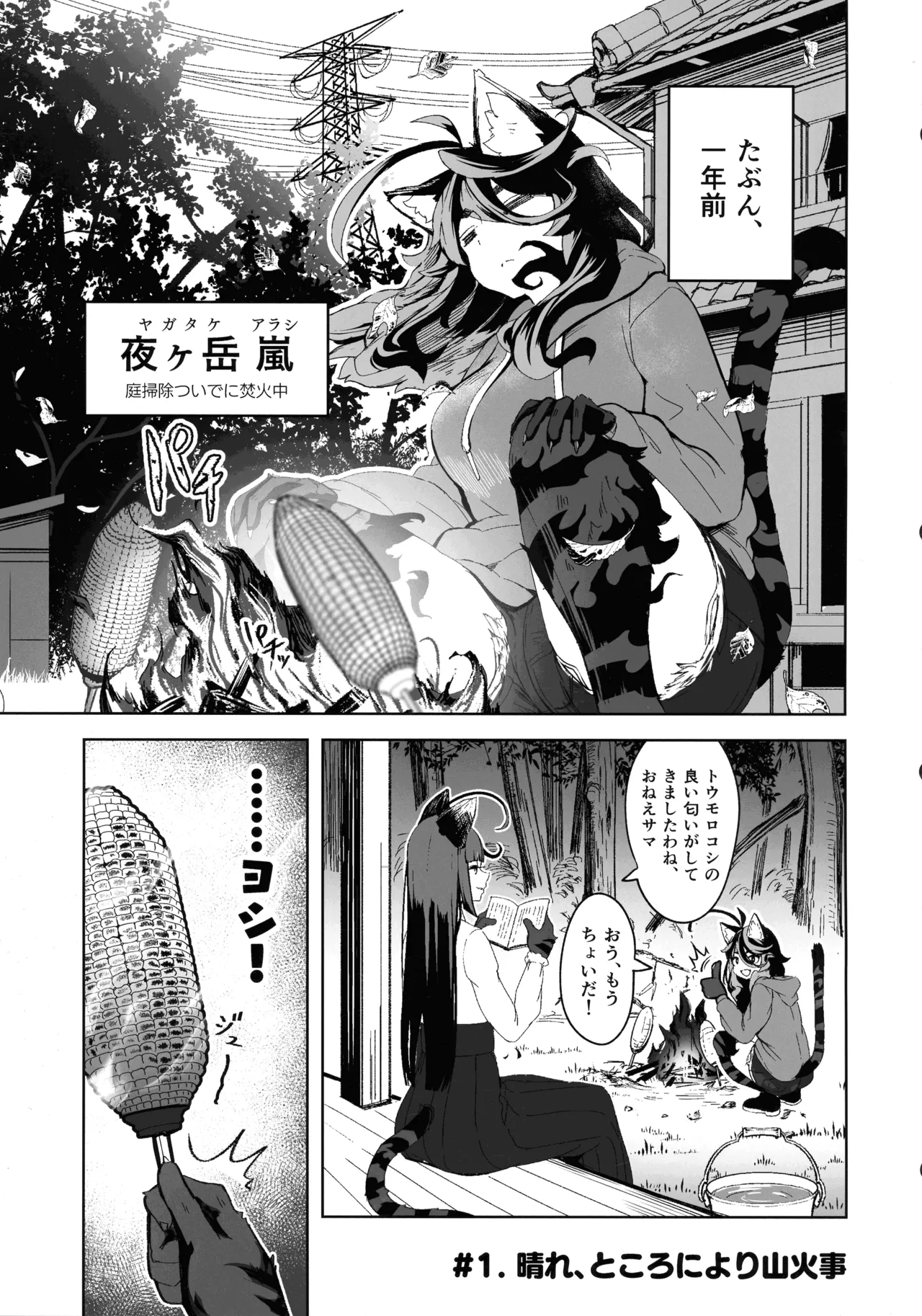 晴れ、ときどき嵐 Page.5