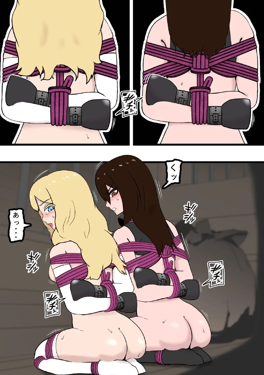 騎士・姫敗北拘束記録 Page.11