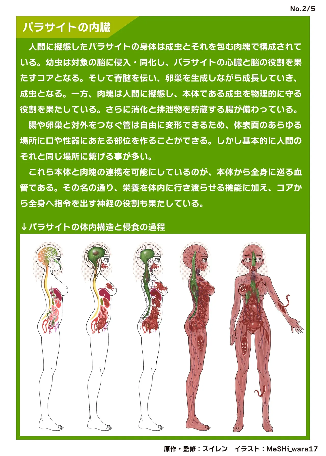 鶯坂37 Page.16