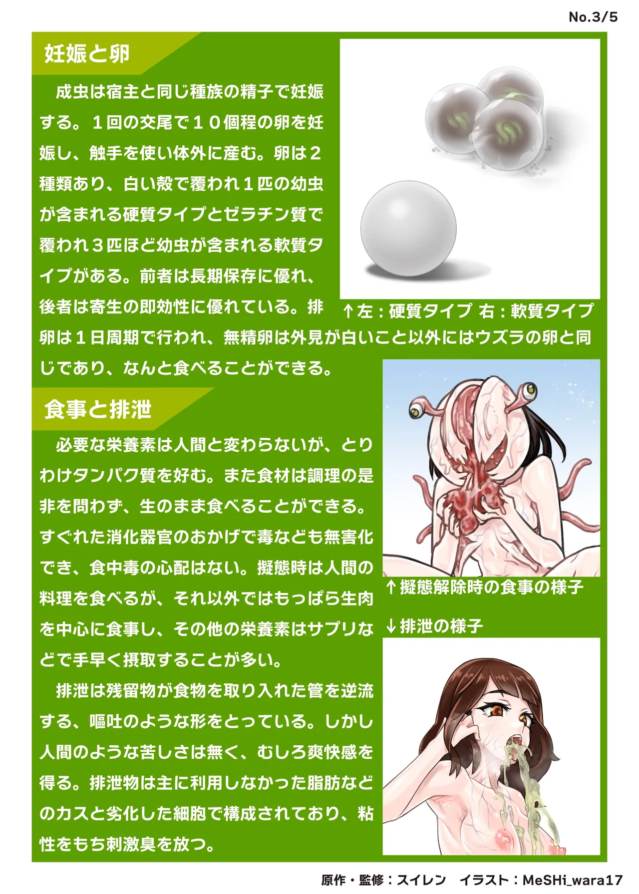 鶯坂37 Page.17