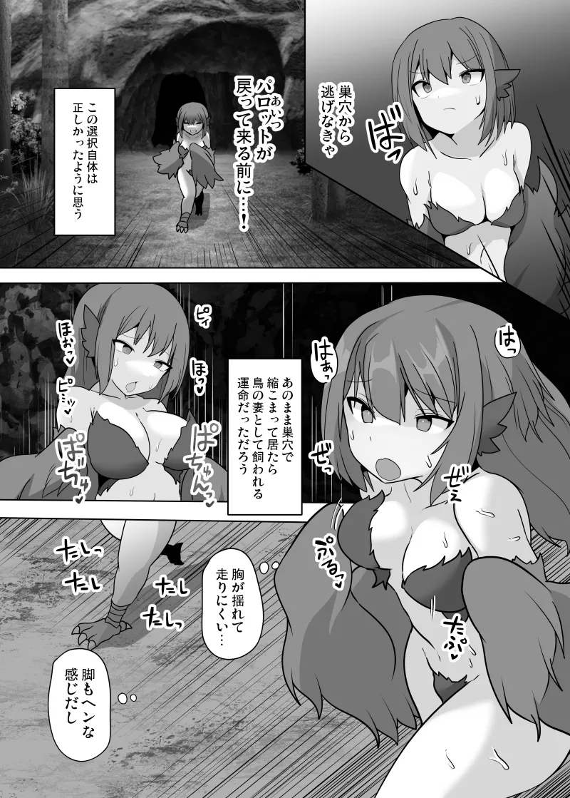TSF魔物娘 ~異世界でハーピィに変えられて~ Page.11