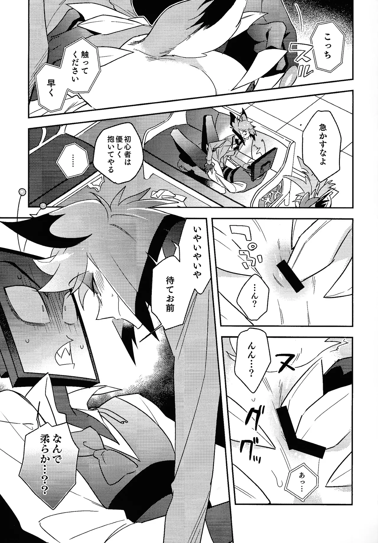 Schrodinger's DEER Page.11