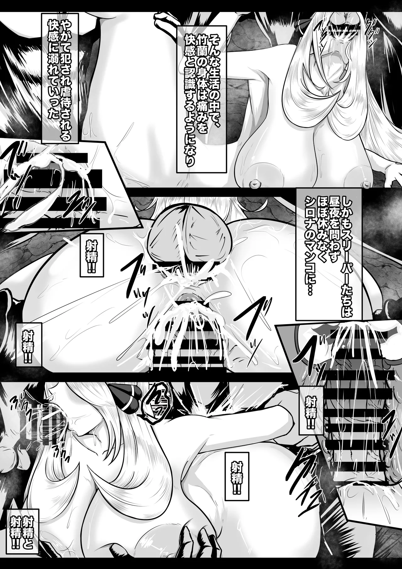 シロナ Page.10