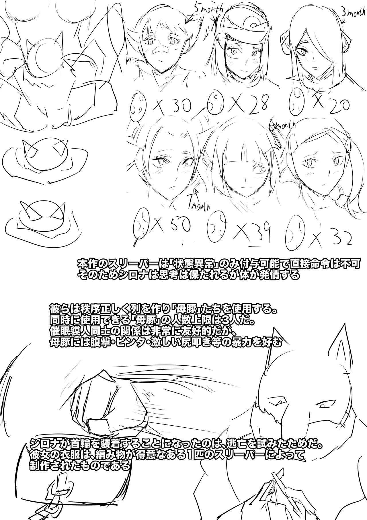 シロナ Page.13