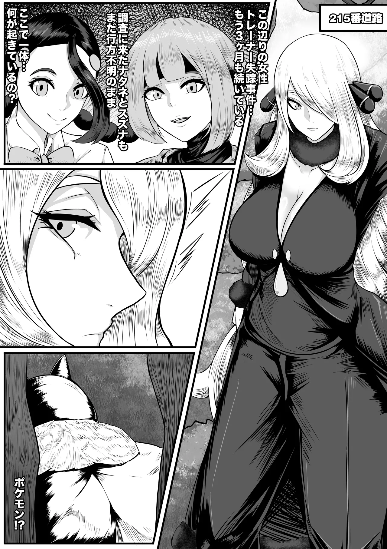 シロナ Page.2