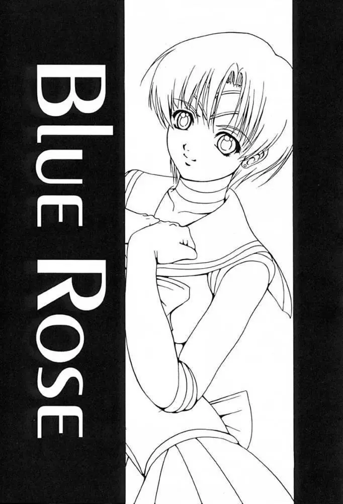 Blue Rose Page.2
