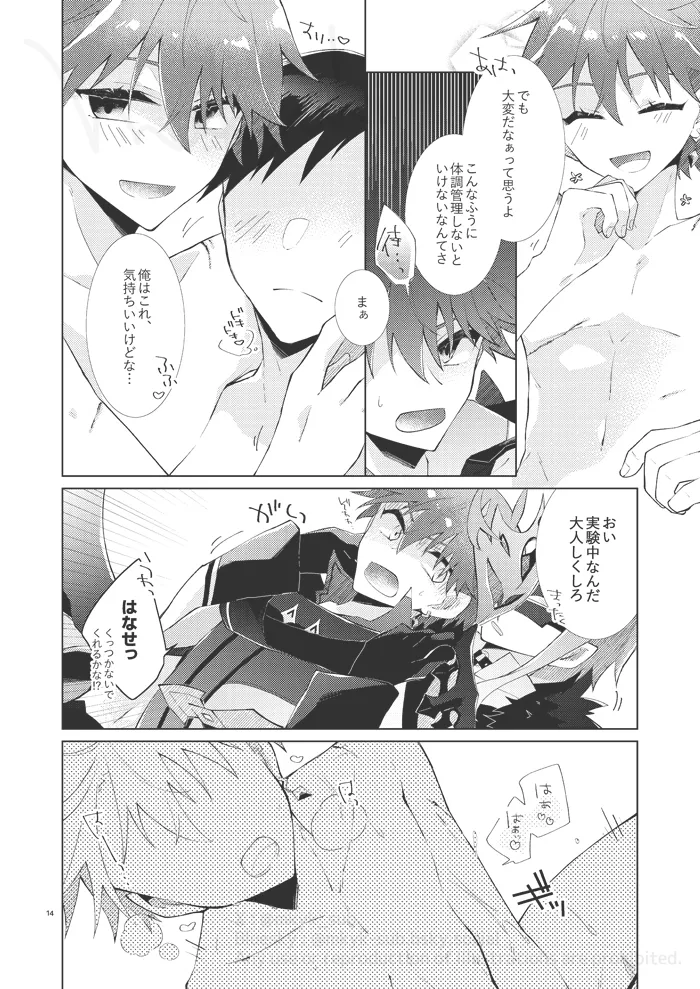 experiment Page.13