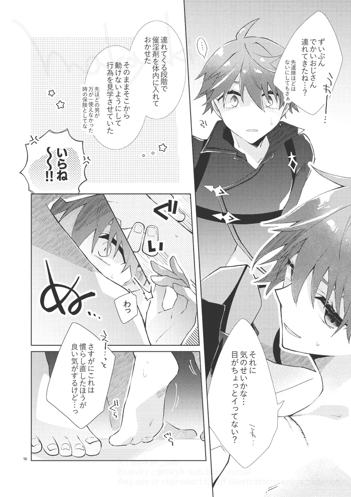 experiment Page.17