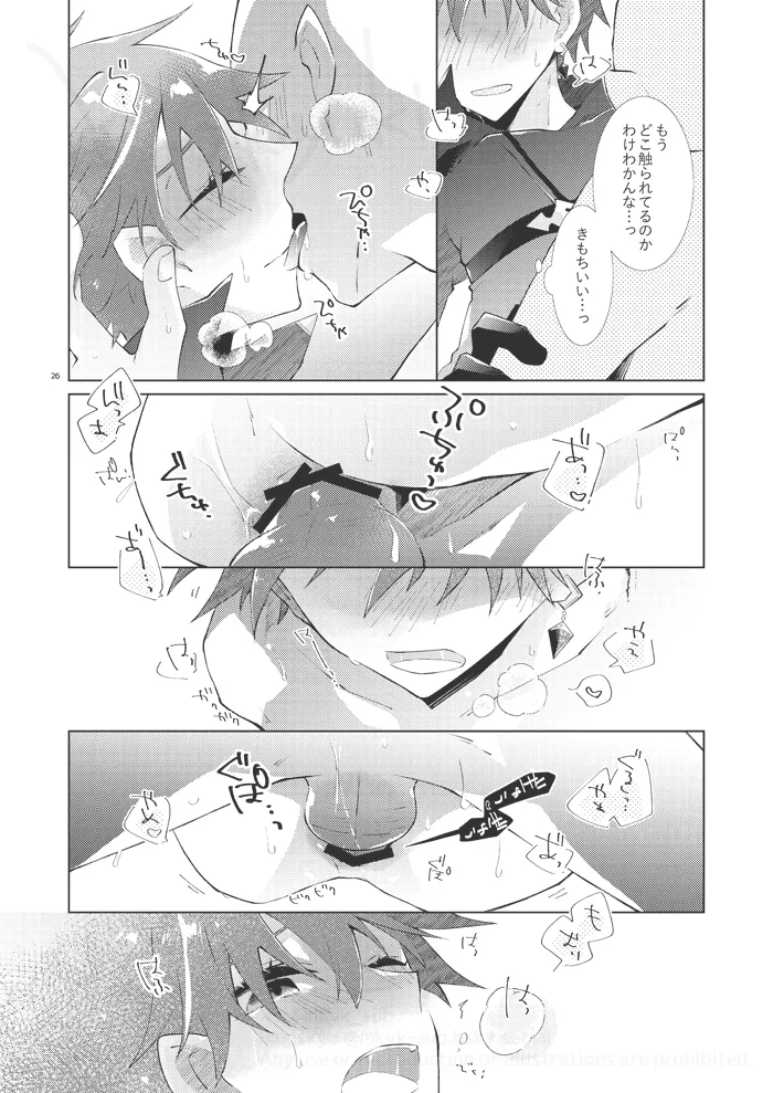 experiment Page.25