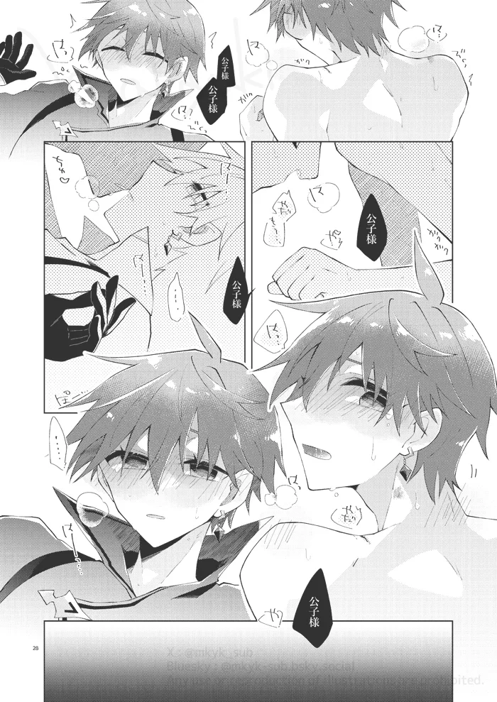 experiment Page.27