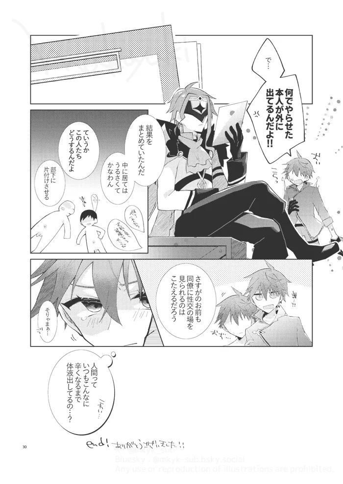 experiment Page.29