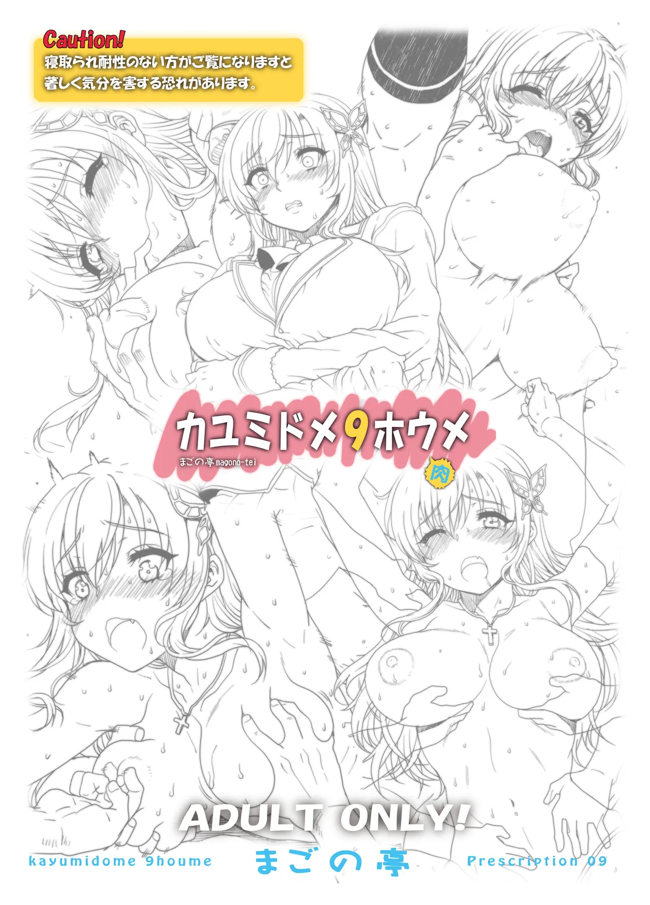 カユミドメ おまとめ処方版 Page.352