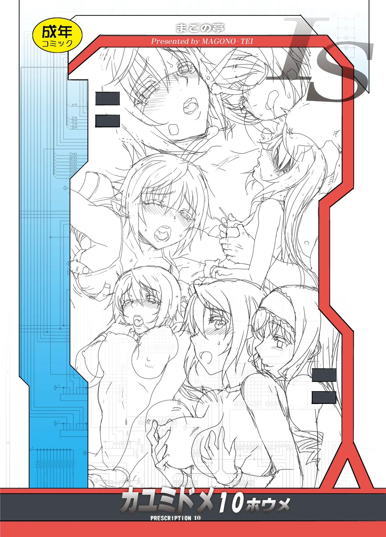 カユミドメ おまとめ処方版 Page.382