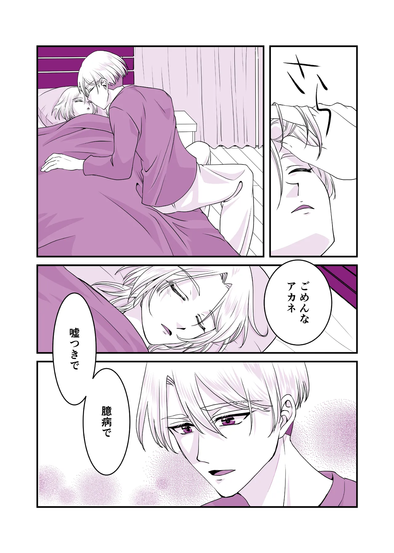 嘘つきで臆病で完璧な兄 Page.21