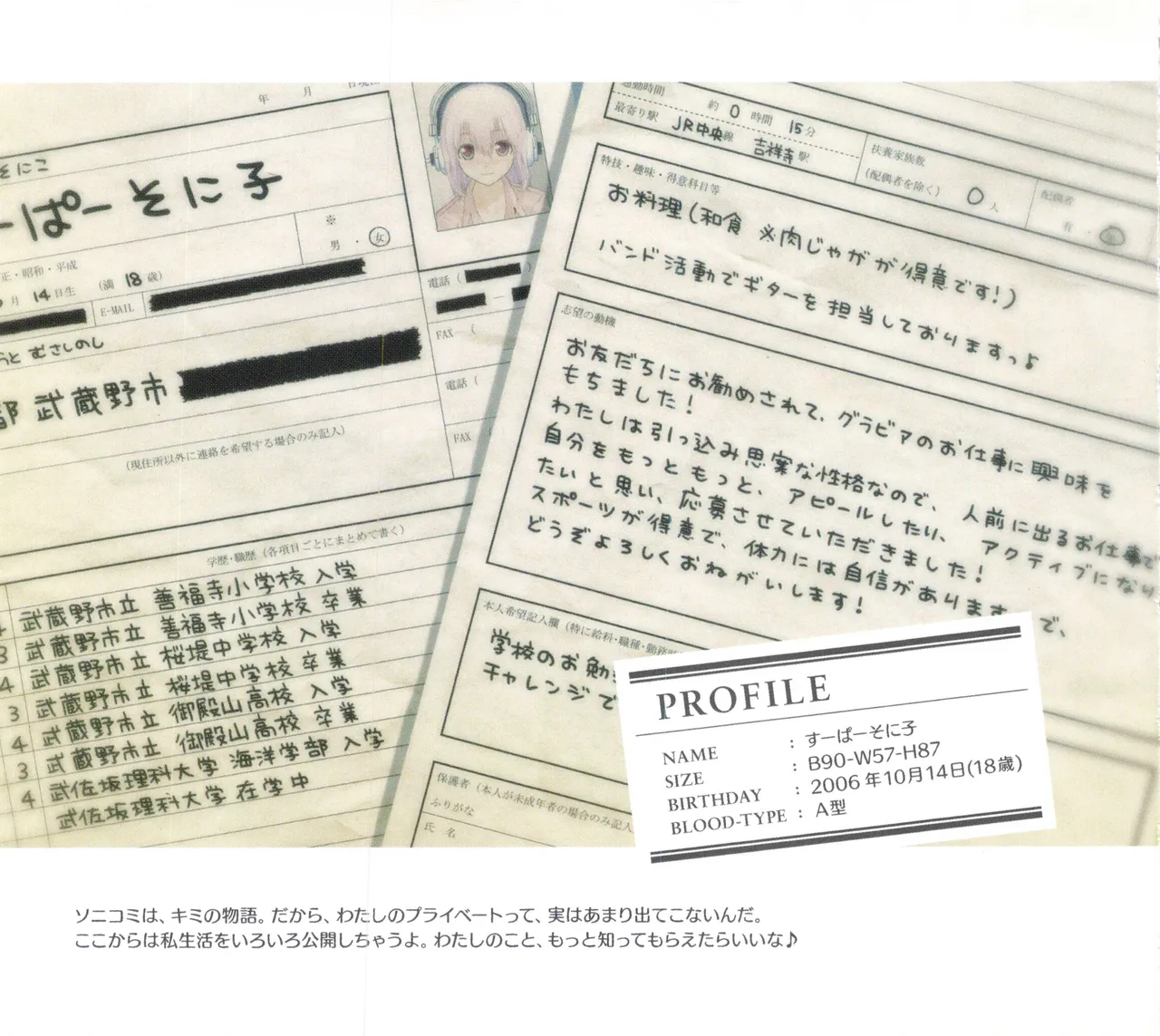 Sonicomi Limited Edition Super Sonico Private Book Page.15
