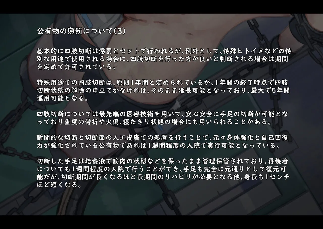 公有物少女3.5〜国から人権を剥奪され物として扱われる女の子の話〜特別厳重懲罰番外編 Page.47