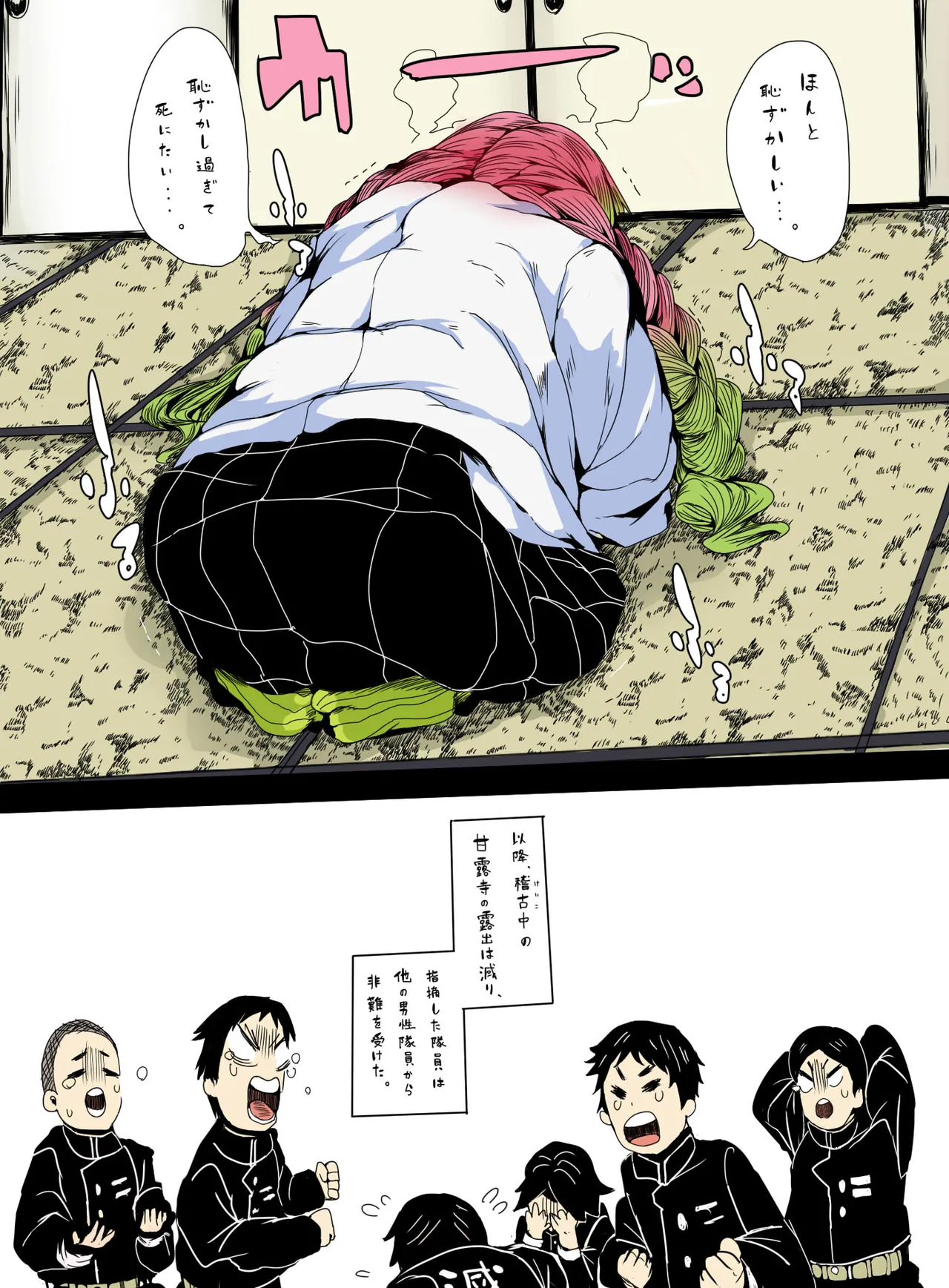 mitsuri kanroji，shinobu kochou Page.17