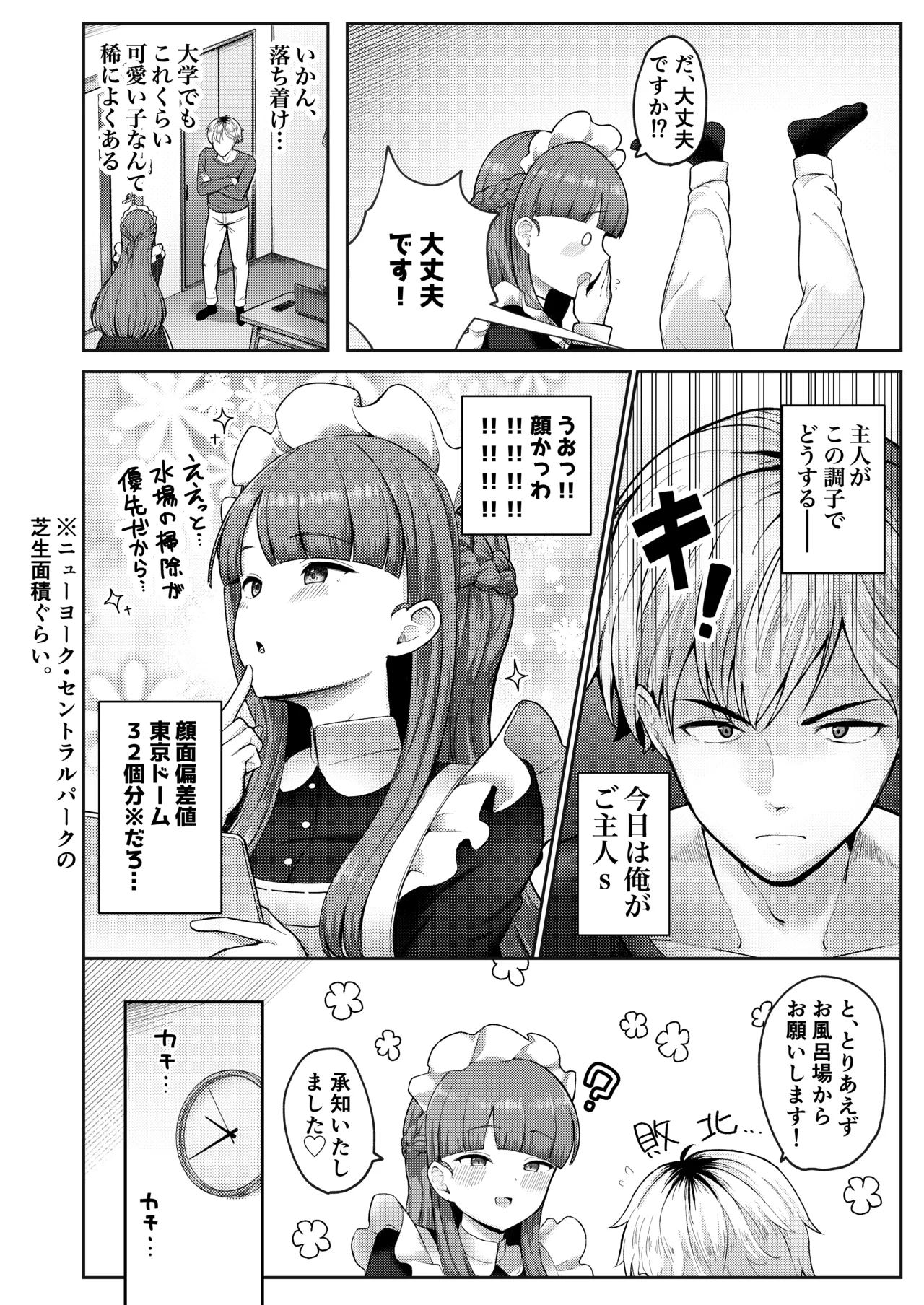 全部教えてくれるレンタルメイドの真冬さん Page.6